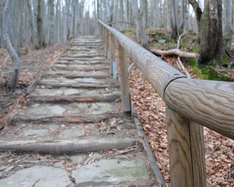 Zrodziła się nowa tradycja w MK w górskim stylu.